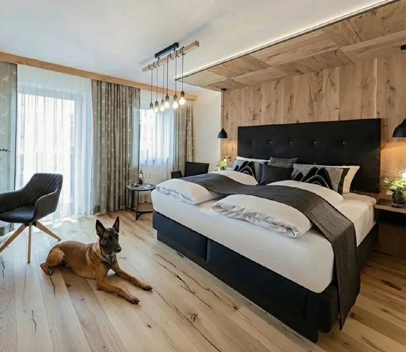 Für Hotels – Bettwanzen-Spürhunde